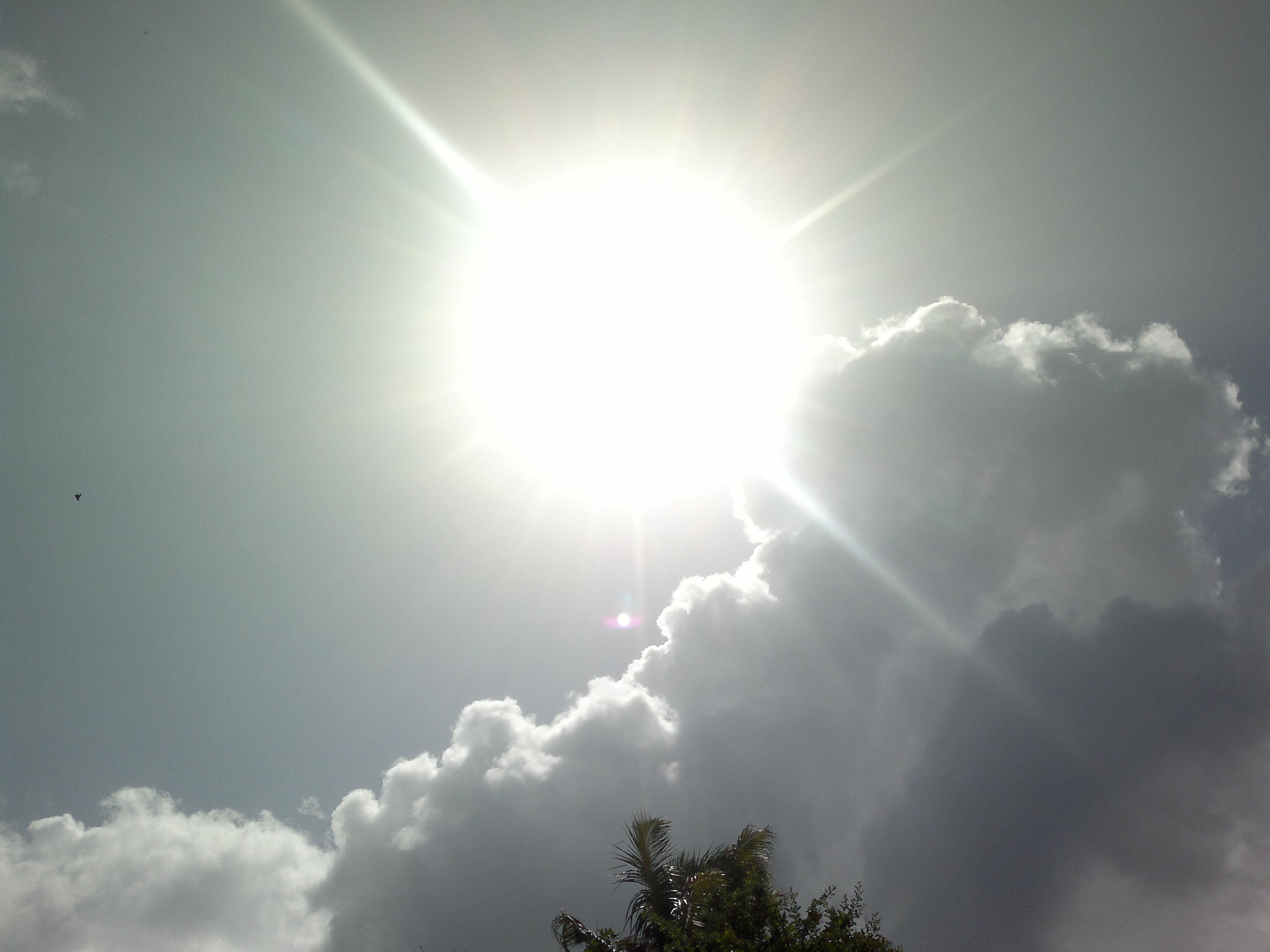 My Photography